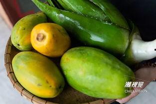 芦荟吃瓜,养生美食新体验