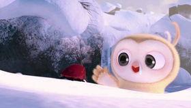 吃瓜的季节搞笑视频,搞笑视频带你笑翻天