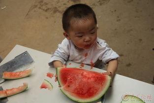 吃瓜小学僧,揭秘校园里的“瓜田”趣事