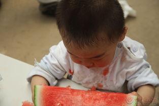 吃瓜小学僧,揭秘校园里的“瓜田”趣事