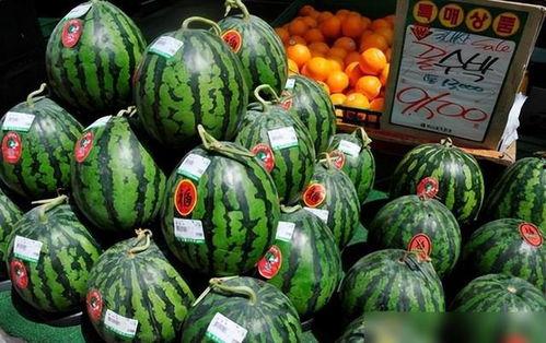 卖瓜的没瓜吃,揭示行业潜规则与诚信危机