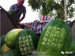 卖瓜的没瓜吃,揭示行业潜规则与诚信危机