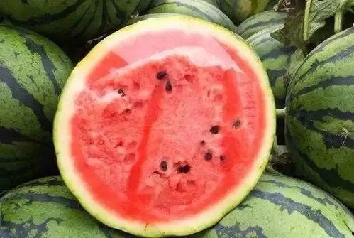 吃瓜是西瓜吗,揭秘“吃瓜”一词的多重含义