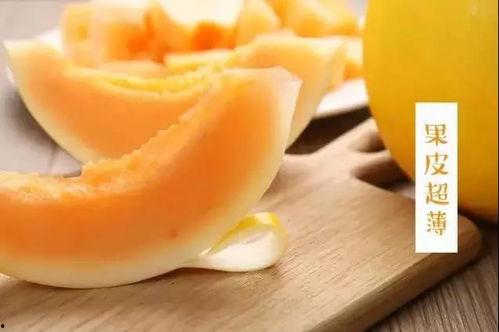 怎样吃蜜瓜包,解锁夏日甜蜜新食尚