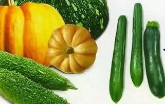 不老瓜怎样吃,解锁健康美味新体验