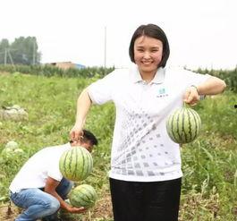 吃瓜群众组个队,揭秘娱乐圈幕后风云