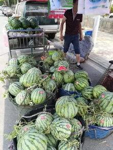 合肥体育老师吃瓜