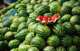 合肥体育老师吃瓜