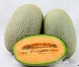 小熊吃哈密瓜,甜蜜冒险记