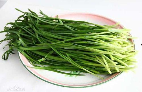 喳喳瓜解说吃豆人,喳喳瓜带你领略经典游戏吃豆人生的魅力