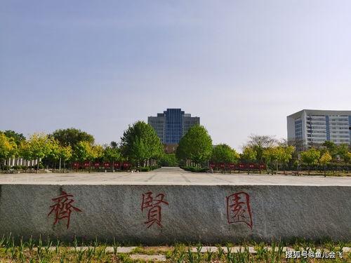 南阳理工吃瓜,一场吃瓜盛宴背后的真相揭秘