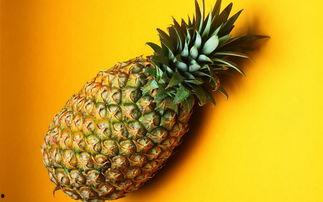 麻瓜吃菠萝,探索菠萝的独特魅力与美味