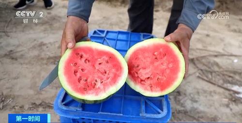 水果吃瓜群众,揭秘瓜类水果的独特魅力