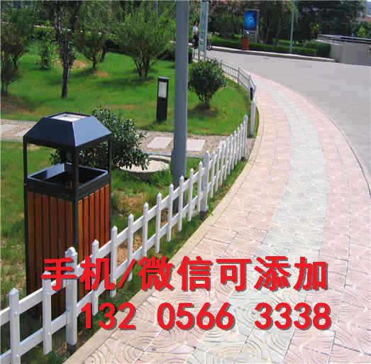 教室护栏吃瓜,揭秘校园里的趣味瞬间