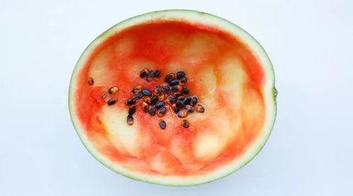 永城吃瓜事件真相,揭开真相背后的惊人内幕