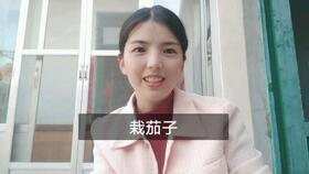 佩佩吃瓜,揭秘娱乐圈的“瓜田”趣事