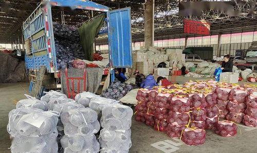 寿光 楼顶 吃瓜,夏日吃瓜乐趣无限