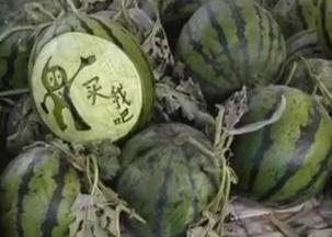 韩城巧玲吃瓜视频,揭秘娱乐圈幕后故事