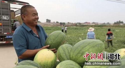 石家庄赵县吃瓜,石家庄夏日美食之旅