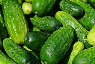 仙缘梦到吃瓜,瓜果飘香，探寻神秘仙缘之旅