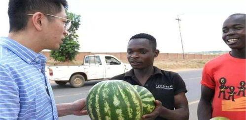 打架吃瓜图,吃瓜群众围观打架现场