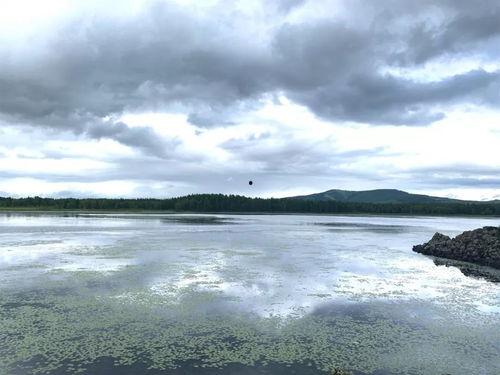 呼伦贝尔吃瓜群众,吃瓜群众的夏日狂欢盛宴