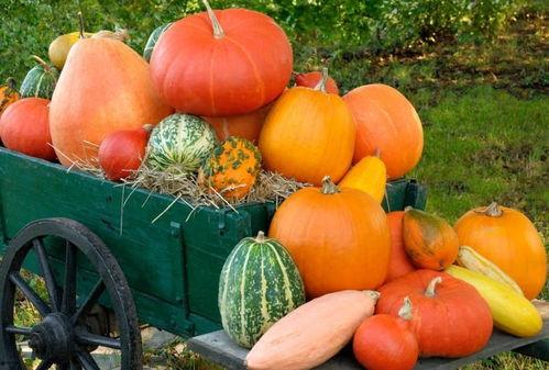 如何劝朋友吃瓜,巧妙沟通的艺术