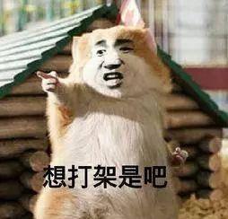 吃瓜乱象,网络舆论场中的是非曲直