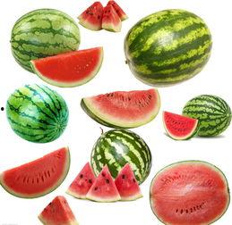 夏吃瓜 是指那些瓜,夏日消暑解渴的时令美味