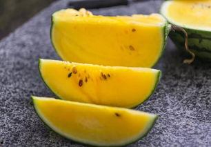 超全吃瓜,超全吃瓜指南，带你领略明星幕后故事