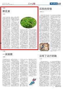 吃瓜日报怎么写内容
