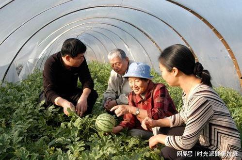 大妈路人吃瓜素材