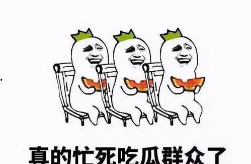 骗朋友吃的瓜