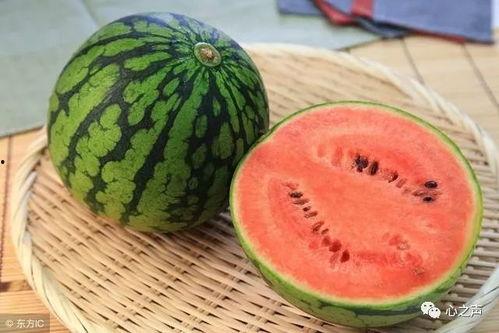 吃瓜系统林棠棠,吃瓜系统背后的故事与启示