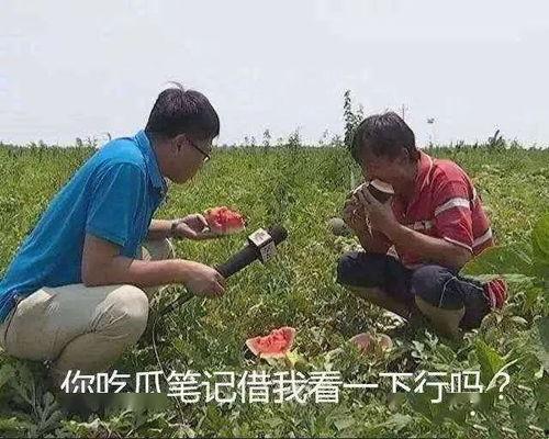 吃瓜包田