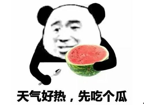 吃瓜表情怎么获得,网络热词背后的文化现象