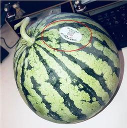 吃瓜网红太古里,太古里网红吃瓜风云录