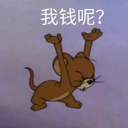 带你吃瓜猫和老鼠,带你领略“带你吃瓜猫和老鼠”的欢乐时光