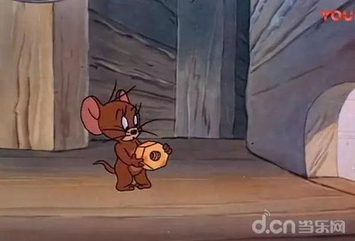 带你吃瓜猫和老鼠,带你领略“带你吃瓜猫和老鼠”的欢乐时光