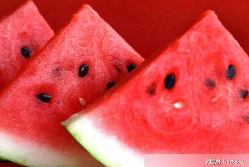 西瓜女孩吃瓜测评,揭秘夏日消暑神器，哪款西瓜最解渴？