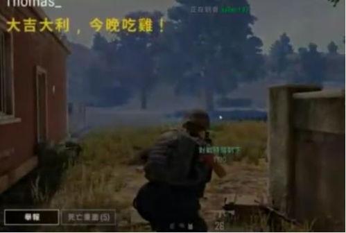 吃鸡吃瓜投稿,揭秘游戏圈幕后趣闻