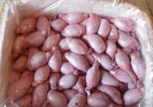 羊宝吃瓜大号,揭秘娱乐圈幕后故事，带你领略明星真实生活