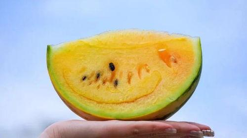 吃瓜啥瓜都吃,吃瓜达人啥瓜都吃