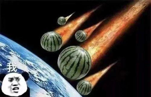 爆笑吃瓜段子文案,吃瓜群众必备的爆笑段子集锦