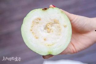 浅吃的瓜,揭秘娱乐圈那些鲜为人知的瓜