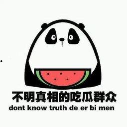 我是吃瓜群众版,吃瓜群众视角下的娱乐圈风云录