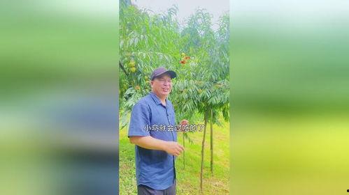 如何预防小鸟吃瓜,有效预防小鸟啄食的实用技巧