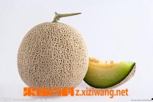 孕妇吃蜜瓜上火,上火风险与合理摄入指南