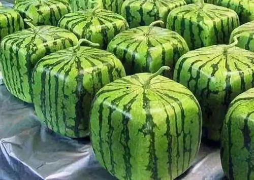 吃瓜的由来简介,揭秘网络热词背后的文化现象