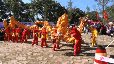 镇长喊你吃瓜,一场别开生面的夏日盛宴